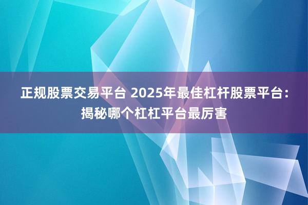 正规股票交易平台 2025年最佳杠杆股票平台：揭秘哪个杠杠平台最厉害