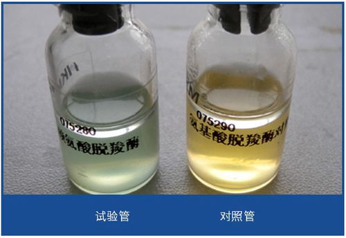 食品微生物检验志贺氏菌检验常用培养基原理解析