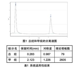 非甲烷总烃检测气相色谱仪